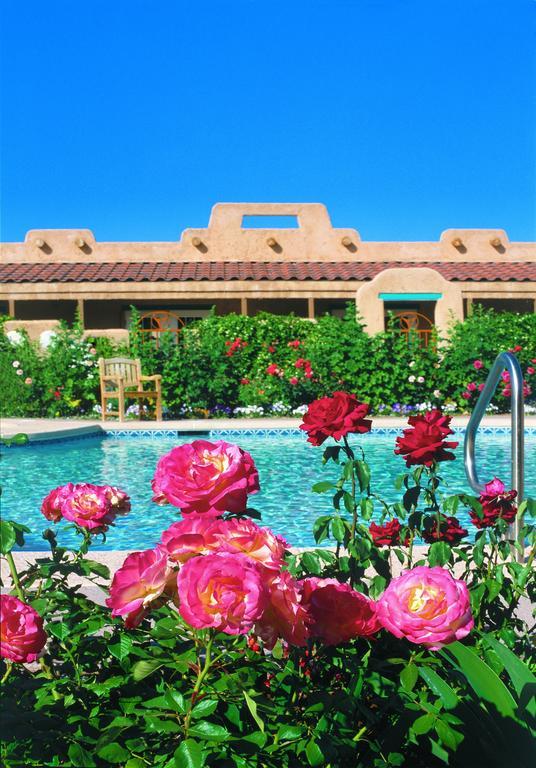 Amira Vacation Rentals セントジョージ エクステリア 写真